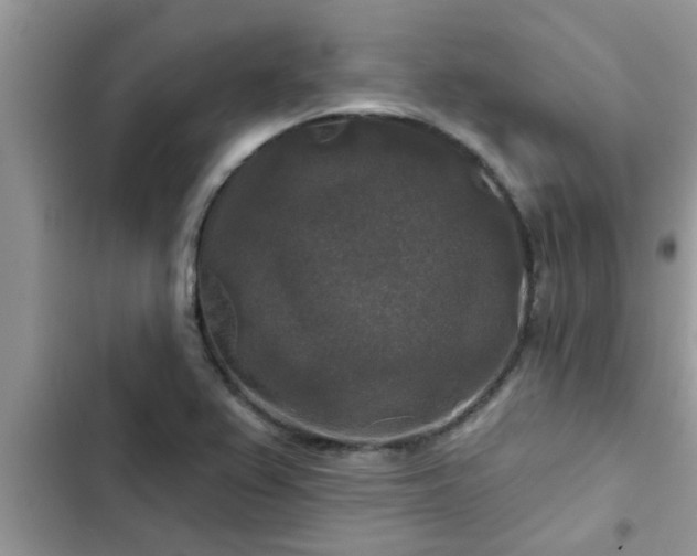 X0000102541367200808151632