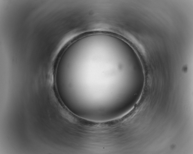 X0000102541368200808151632