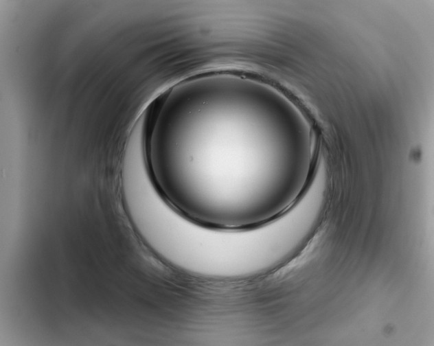 X0000102541369200808151632