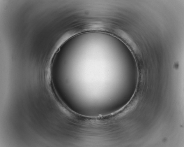 X0000102541370200808151632