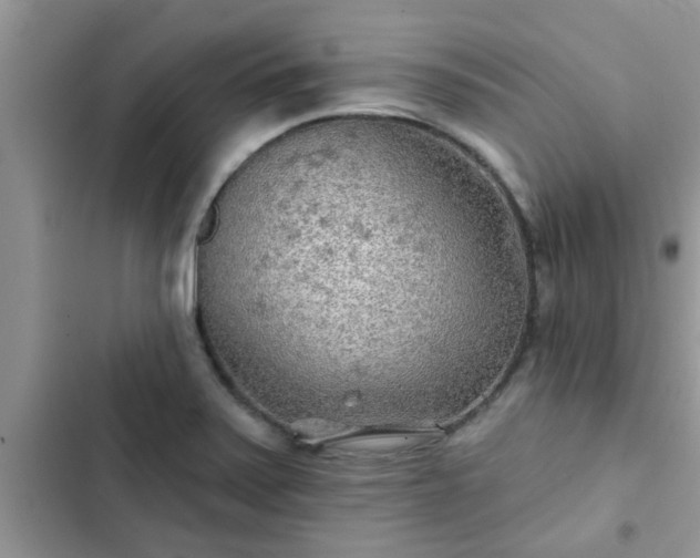 X0000102541371200808151632