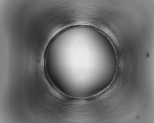 X0000102541372200808151632