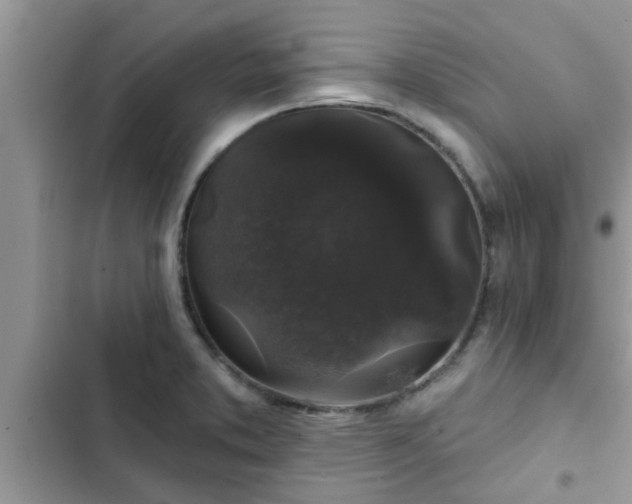X0000102541373200808151632