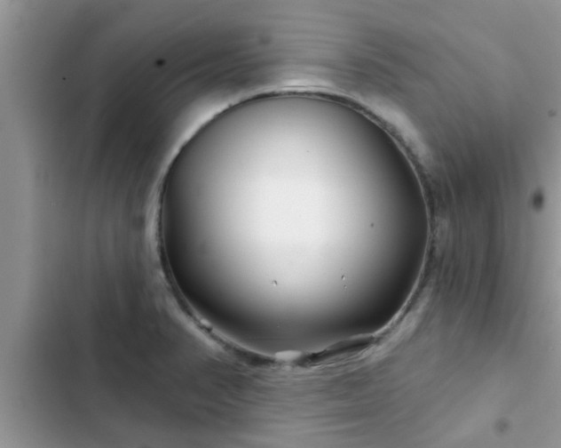 X0000102541374200808151632