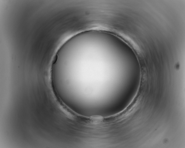 X0000102541375200808151632