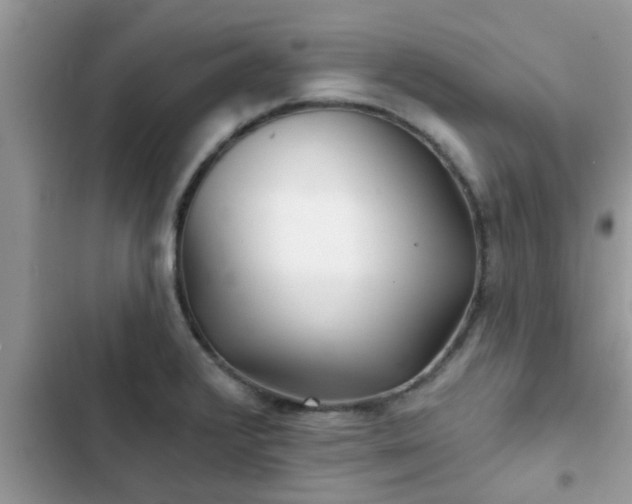 X0000102541376200808151632