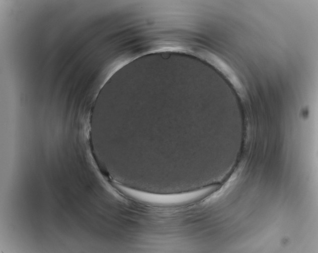 X0000102541377200808151632