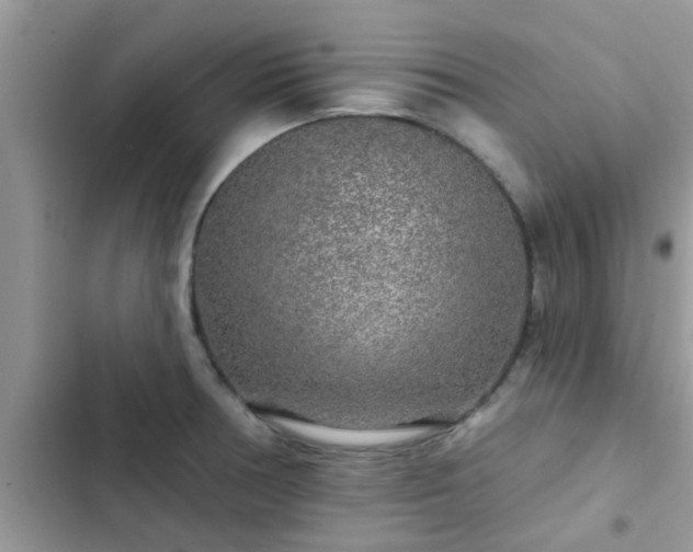 X0000102541378200808151632