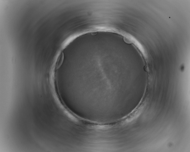 X0000102541381200808151632
