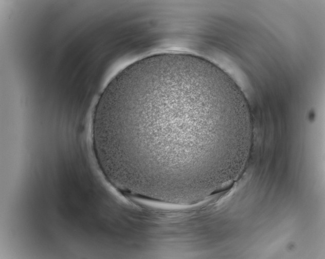 X0000102541382200808151632