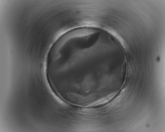 X0000102541383200808151632
