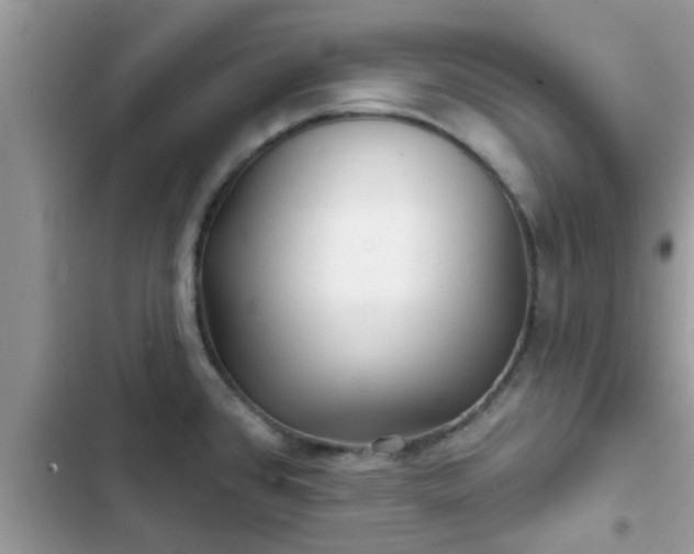X0000102541384200808151632