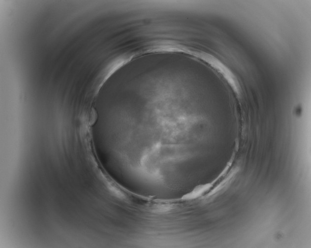 X0000102541385200808151632
