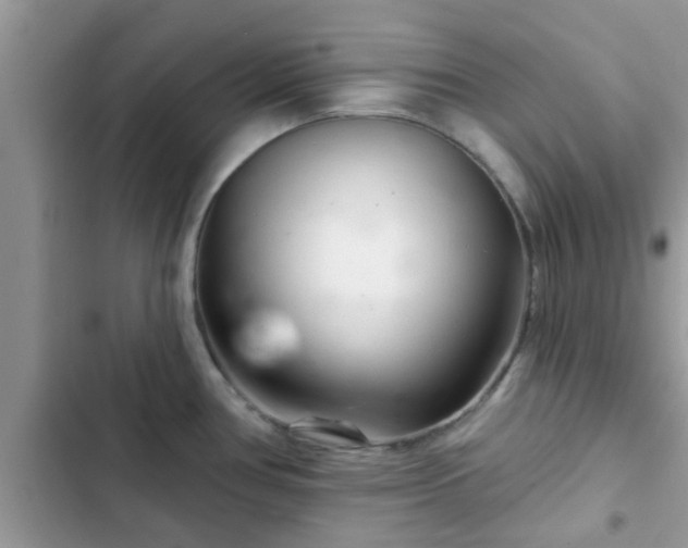 X0000102541386200808151632