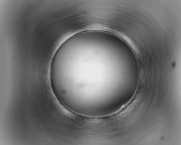 X0000102541387200808151632
