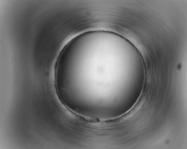 X0000102541388200808151632