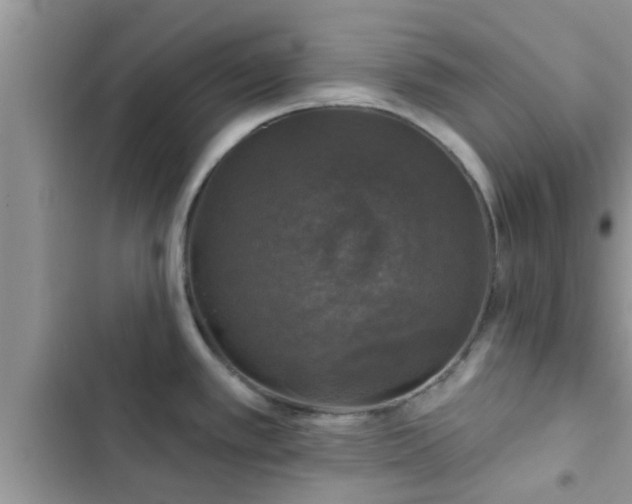 X0000102541389200808151632