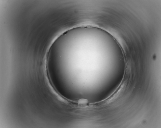 X0000102541390200808151632