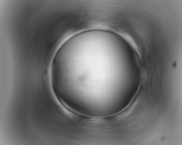 X0000102541391200808151632