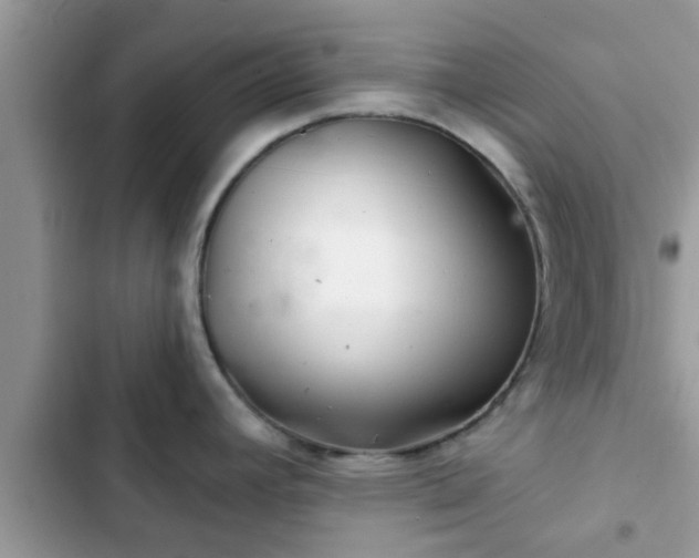 X0000102541392200808151632