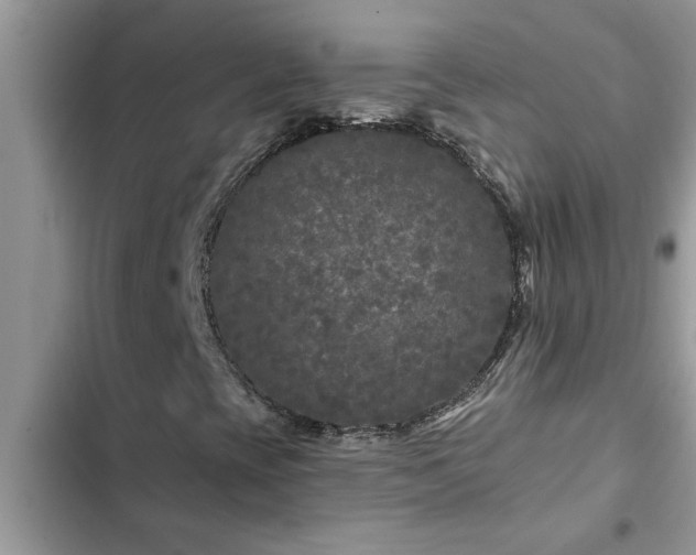 X0000102541393200808151631