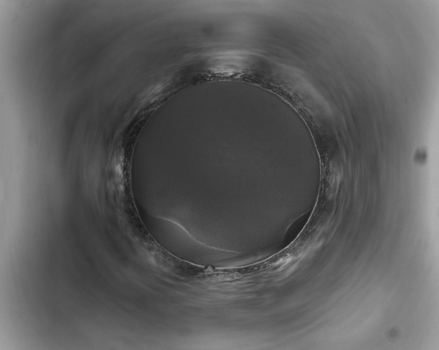 X0000102541394200808151631