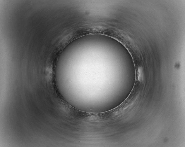 X0000102541395200808151631