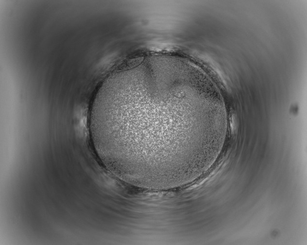 X0000102541396200808151631