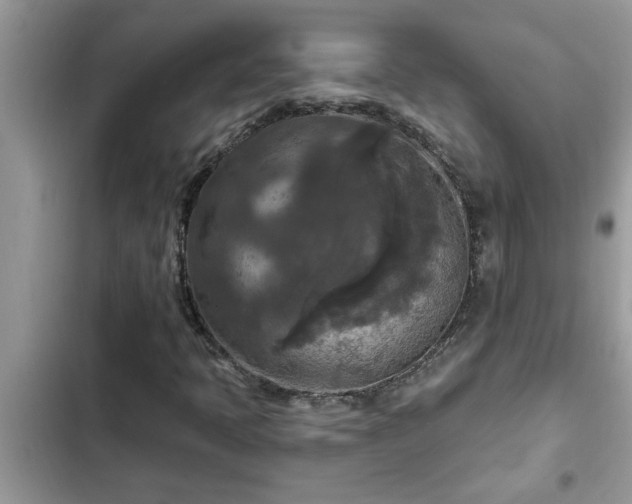 X0000102541397200808151631