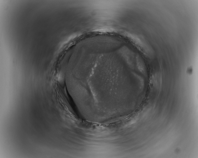 X0000102541398200808151631