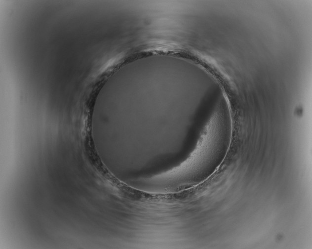 X0000102541399200808151631