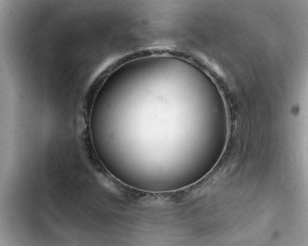 X0000102541400200808151631