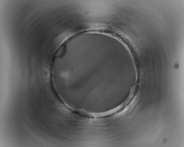 X0000102541401200808151631