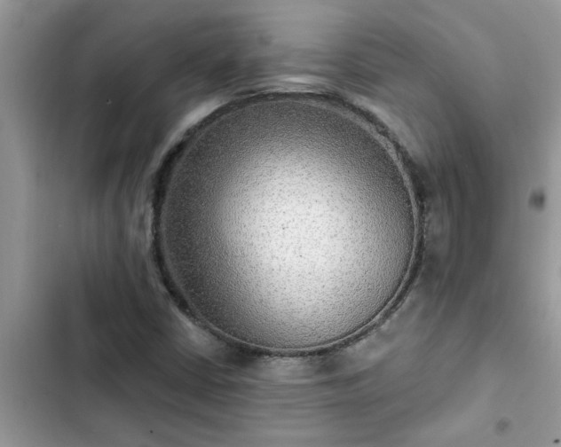 X0000102541402200808151632