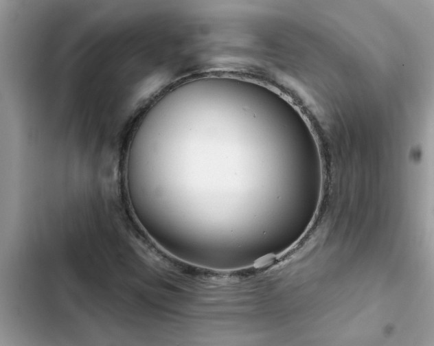 X0000102541403200808151632