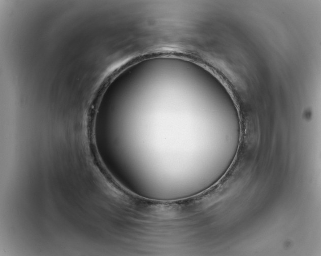 X0000102541404200808151632