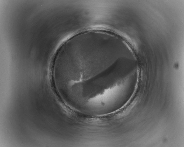 X0000102541405200808151632