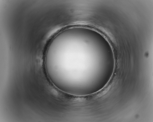 X0000102541406200808151632