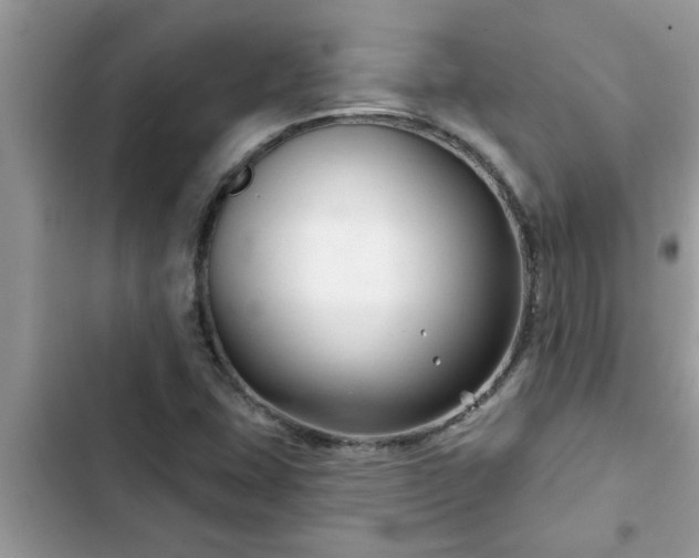 X0000102541407200808151632