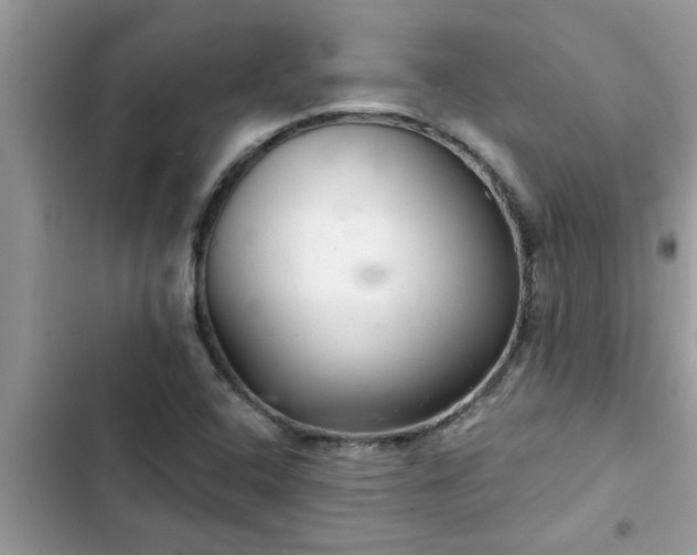 X0000102541408200808151632