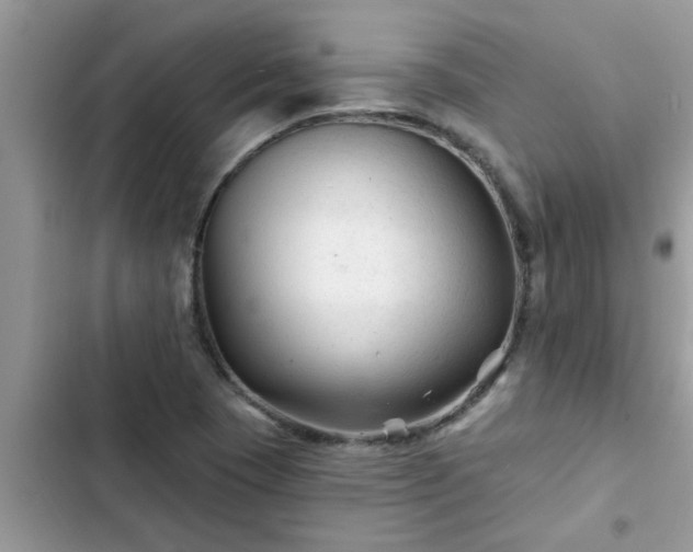 X0000102541409200808151632