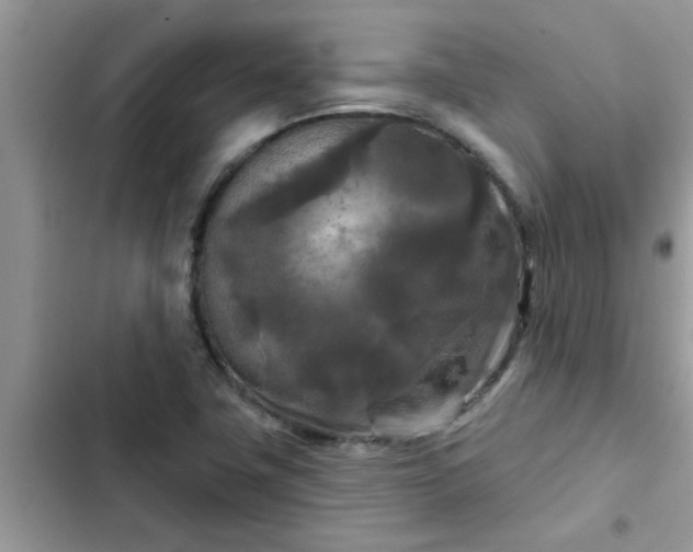 X0000102541411200808151632