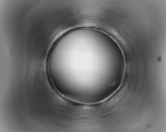 X0000102541412200808151632