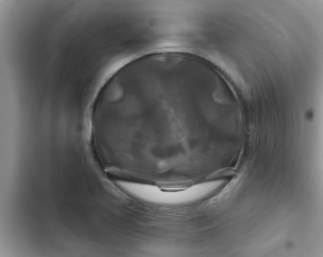 X0000102541413200808151632