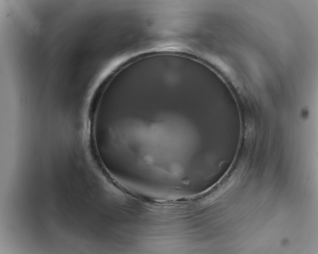 X0000102541414200808151632