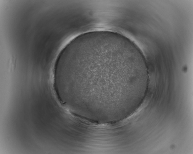X0000102541415200808151632