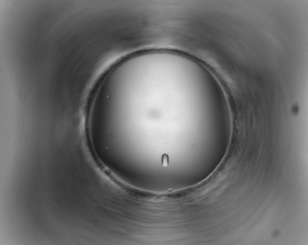 X0000102541416200808151632