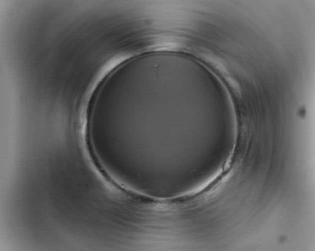 X0000102541418200808151632