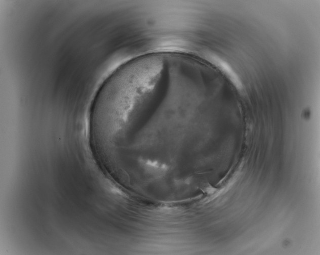 X0000102541419200808151632