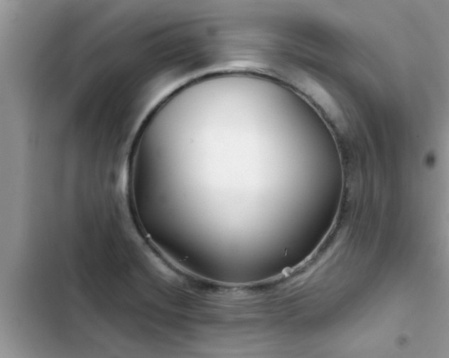 X0000102541420200808151632